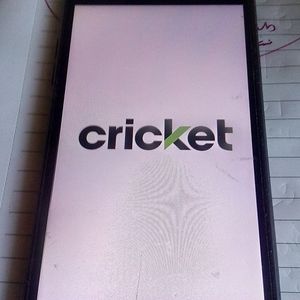 Cricket LG Fortune